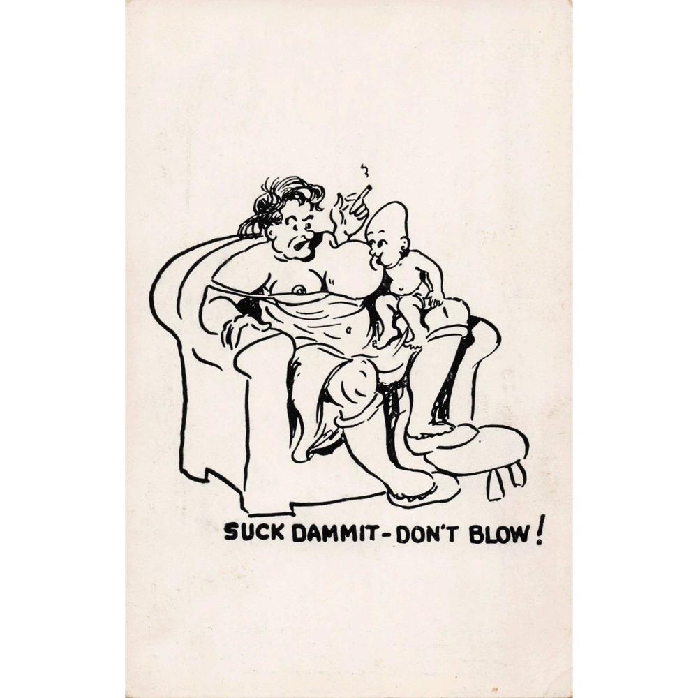 Vintage Risque Comic Postcard Suck Dammit Don't Blow Adult Humor Novelty VG - Picture 1 of 2